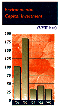graph showing environmental capital investments (1991 to
1995)